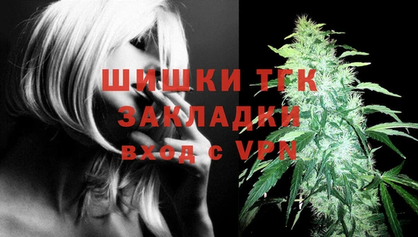 хмурый Лиски