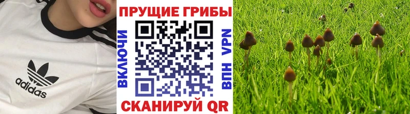 Галлюциногенные грибы MAGIC MUSHROOMS  ссылка на мегу tor  Олонец  закладка 
